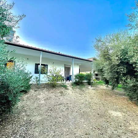 Nature House *