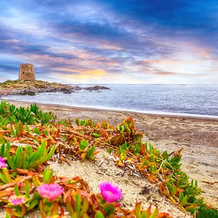 Nature House Σπίτι διακοπών *